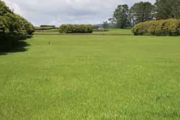 1996 Egmont Road, Inglewood