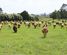 1996 Egmont Road, Inglewood, New Plymouth, Taranaki
