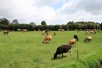 1996 Egmont Road, Inglewood