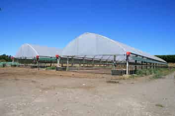 1996 Egmont Road, Inglewood