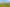 506 Te Kowhai , Te Kowhai