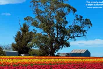  Willowbridge Road, WAIMATE