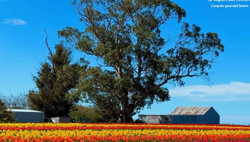  Willowbridge Road, WAIMATE
