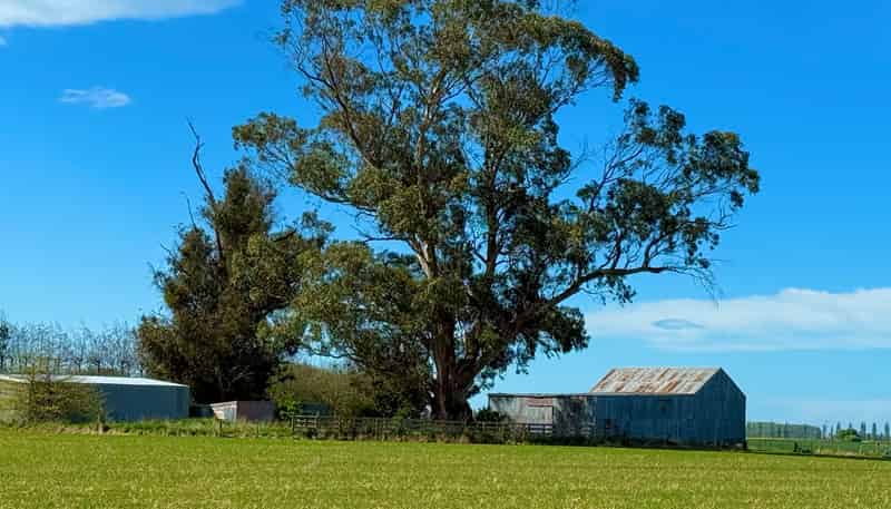  Willowbridge Road, WAIMATE