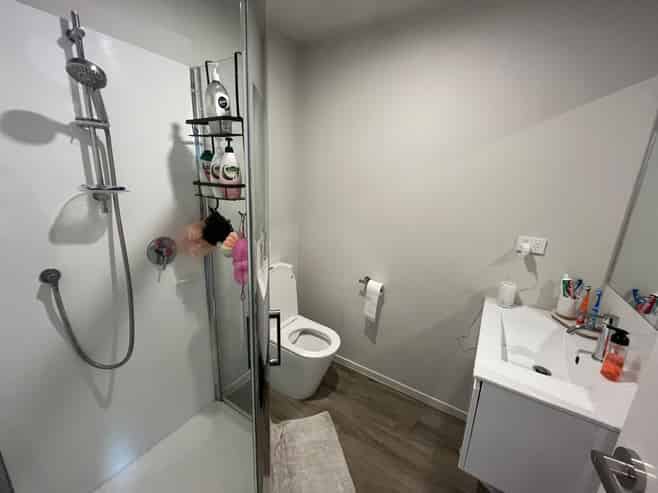 41/137 Hall Ave, Favona