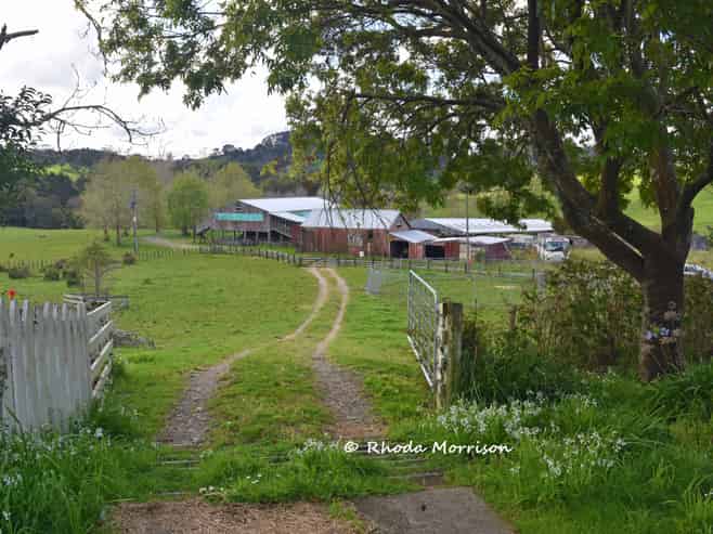 726 Paparoa Station Road, Paparoa