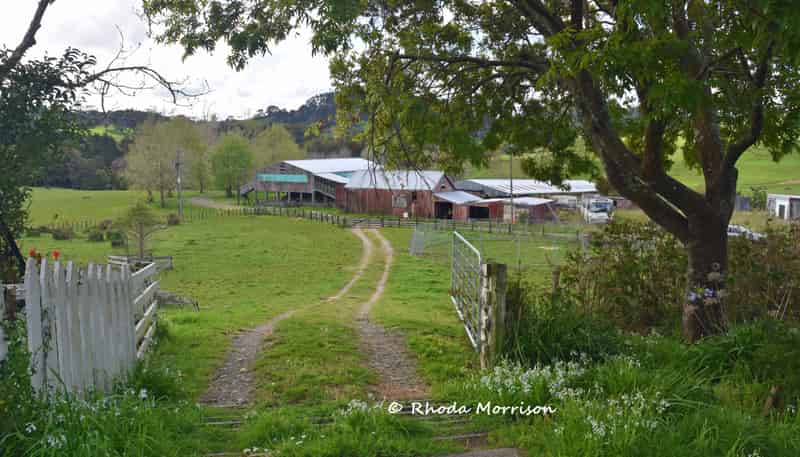726 Paparoa Station Road, Paparoa