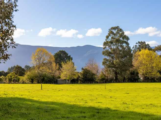 100 Humphries Street - Lifestyle, Greytown