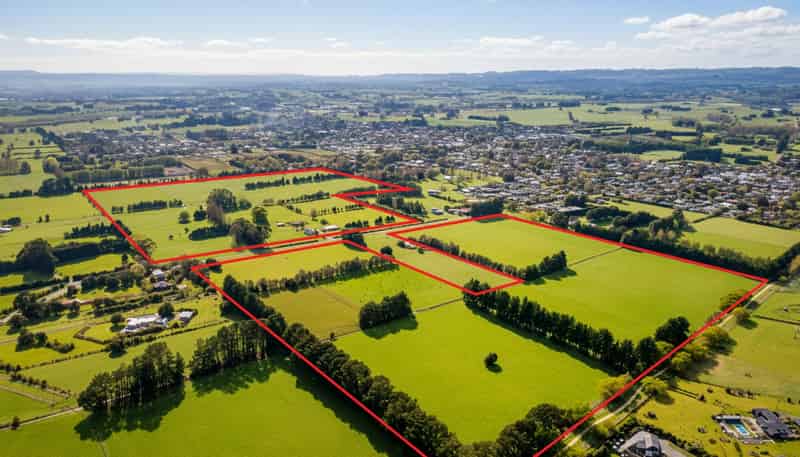 100 Humphries Street - Lifestyle, Greytown