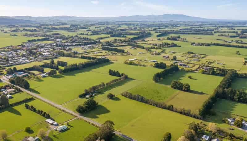 100 Humphries Street - Rural, Greytown