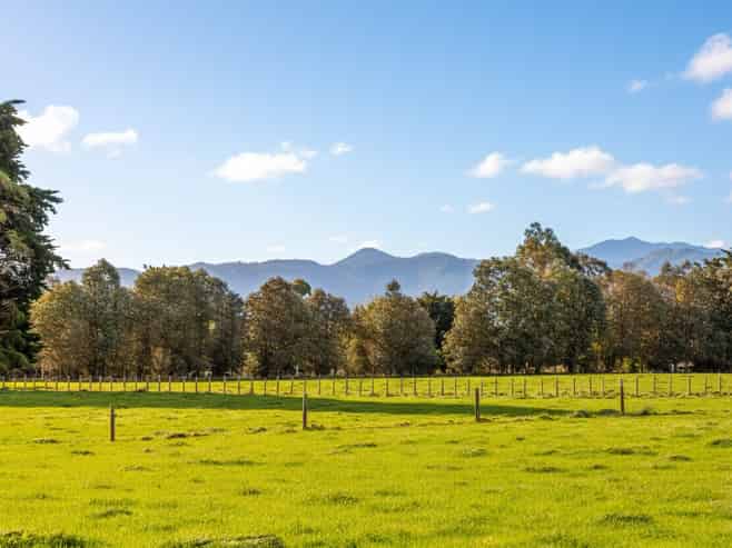 100 Humphries Street - Rural, Greytown