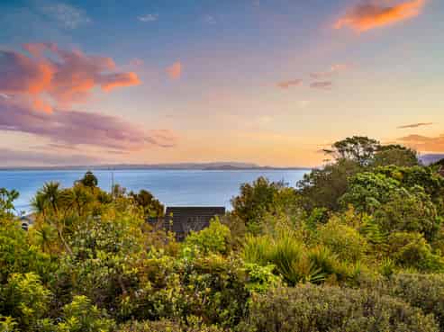 115A Halsey Drive, Lynfield