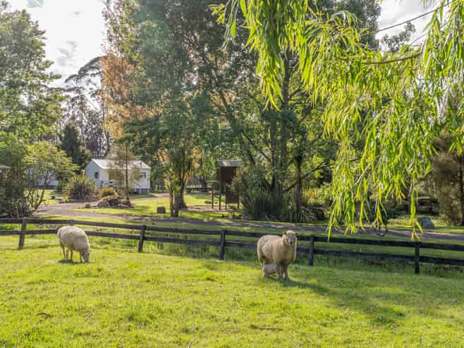 3263 SH 25 Tairua-Whitianga Rd, Whitianga