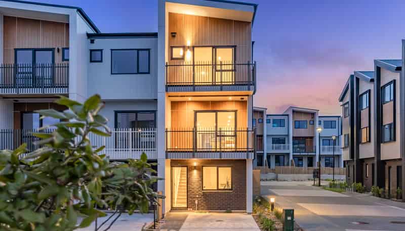 27 Tahepuia, Mount Wellington