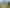 Auckland - Address withheld