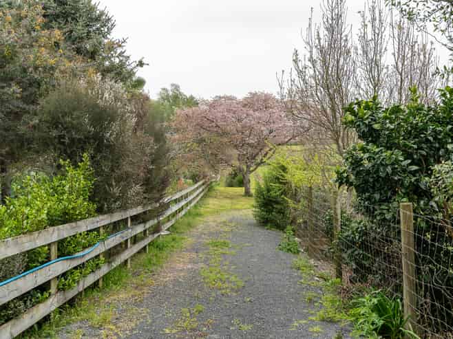 10 Haultain Street, Kihikihi