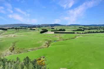 267 (Farm) Wehenga Road, Hindon
