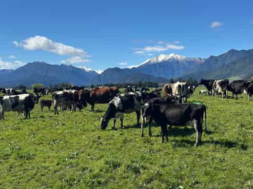 212-222 Municipal Road, Hokitika