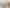 355 Grays Road, Pauatahanui