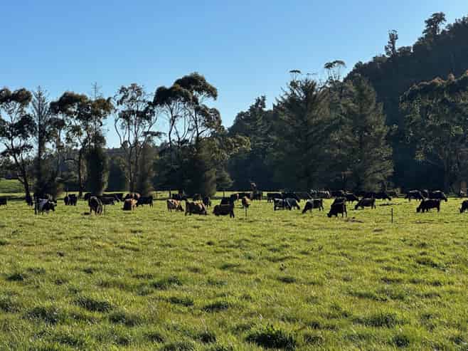 451 Umere Road, Karamea