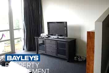 Unit 15 Rm/73 Buccleugh Street, North Dunedin