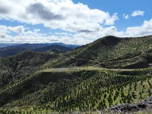 1529 Tinui Valley Road, Tinui Valley