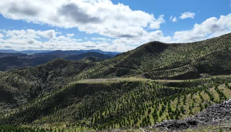 1529 Tinui Valley Road, Tinui Valley