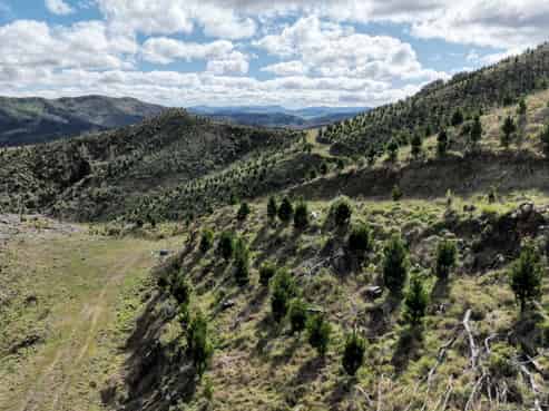 1529 Tinui Valley Road, Tinui Valley