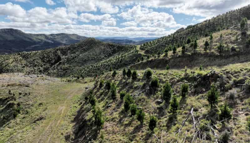 1529 Tinui Valley Road, Tinui Valley