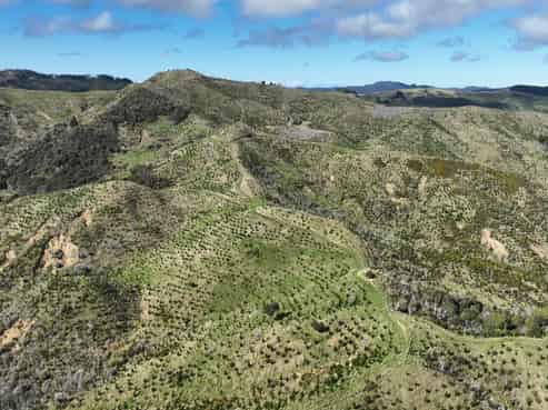 1529 Tinui Valley Road, Tinui Valley