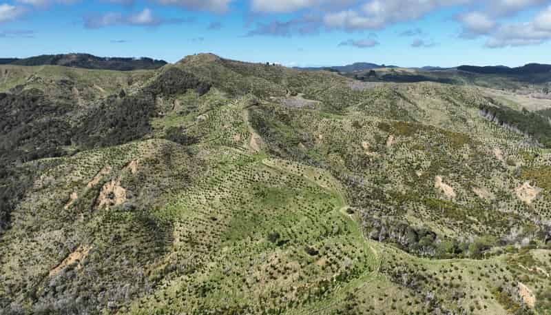 1529 Tinui Valley Road, Tinui Valley
