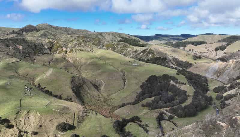 1529 Tinui Valley Road, Tinui Valley
