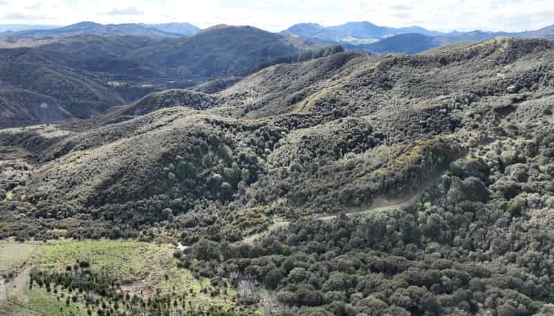 1529 Tinui Valley Road, Tinui Valley