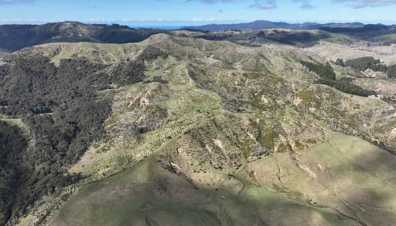 1529 Tinui Valley Road, Tinui Valley