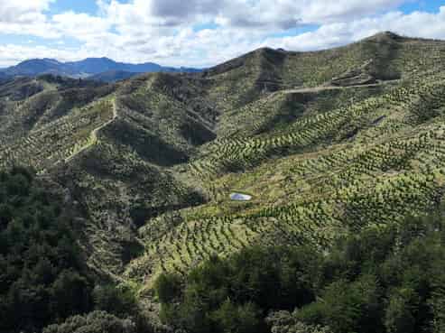 1529 Tinui Valley Road, Tinui Valley