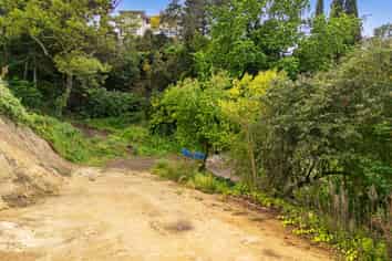 13 Lucknow Terrace, Napier Hill