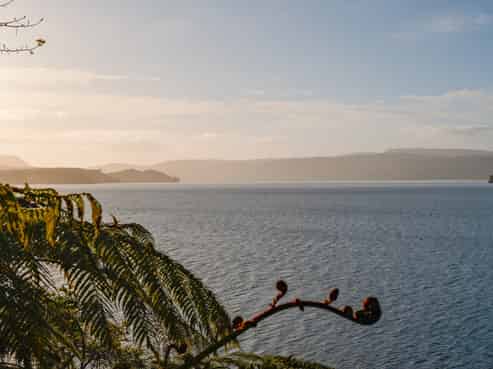 364 Maniatutu Road, Lake Rotoiti
