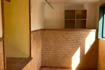 Tane Mahut Lone Kauri Road, Karekare