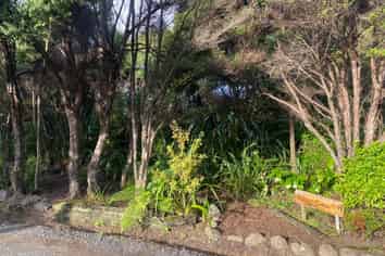 Kauri Cabi Lone Kauri Road, Karekare