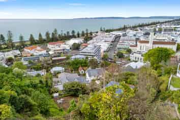 12 Brewster Street, Napier Hill