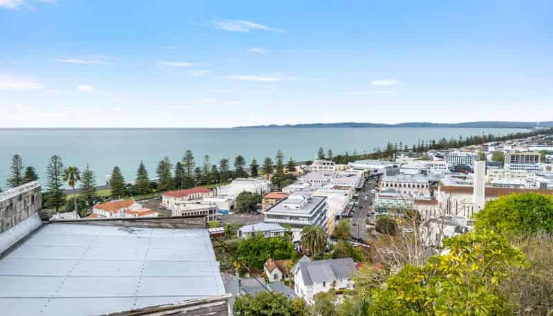 12 Brewster Street, Napier Hill