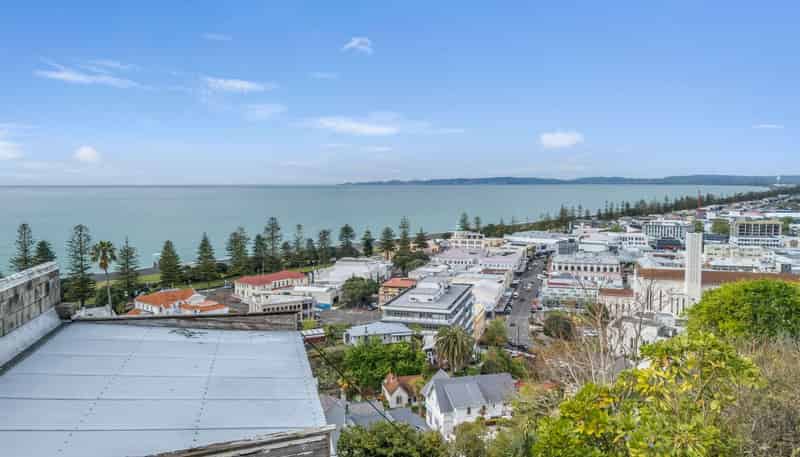 3 Onslow Road, Napier Hill