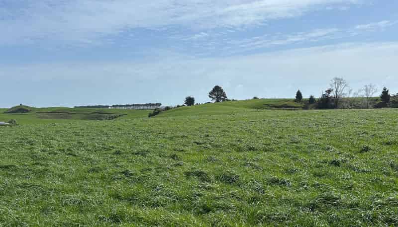 163 Ohanga Road, Onaero
