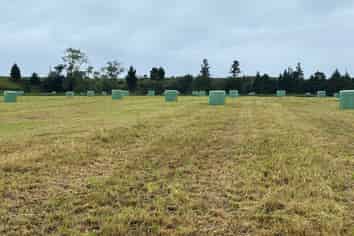 163 Ohanga Road, Onaero