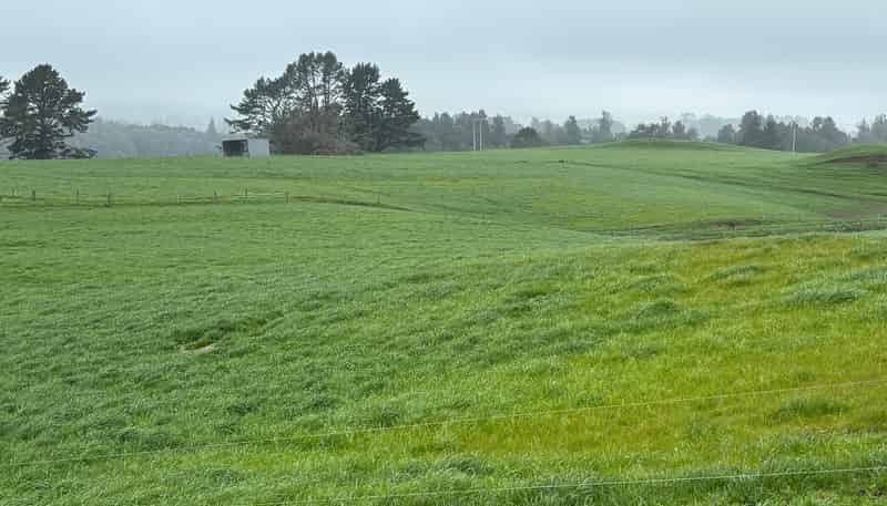 163 Ohanga Road, Onaero