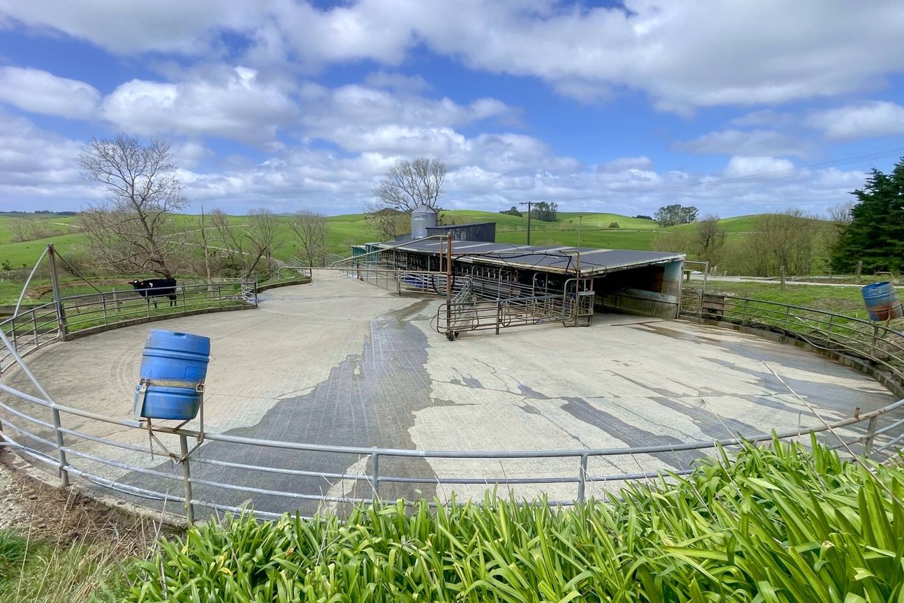 Exceptional Dairy Opportunity in Tomarata - Prikaz 4