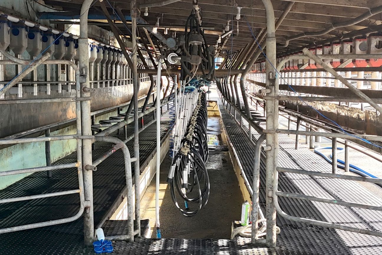 Exceptional Dairy Opportunity in Tomarata - Prikaz 5