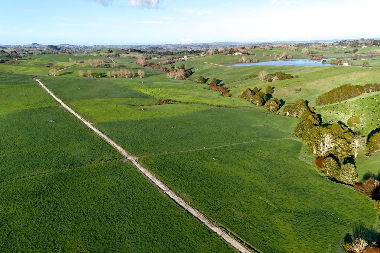 Exceptional Dairy Opportunity in Tomarata - Prikaz 2
