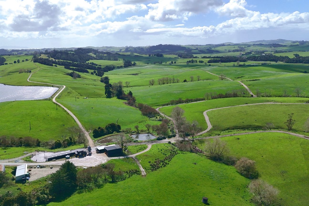 Exceptional Dairy Opportunity in Tomarata - Prikaz 3