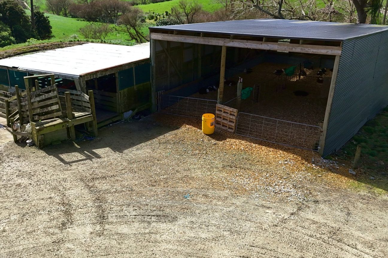 Exceptional Dairy Opportunity in Tomarata - Više